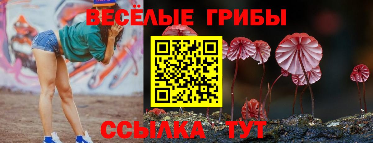 Галлюциногенные грибы GOLDEN TEACHER Прохладный