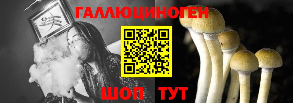Галлюциногенные грибы мухоморы  Вход с VPN  Прохладный 