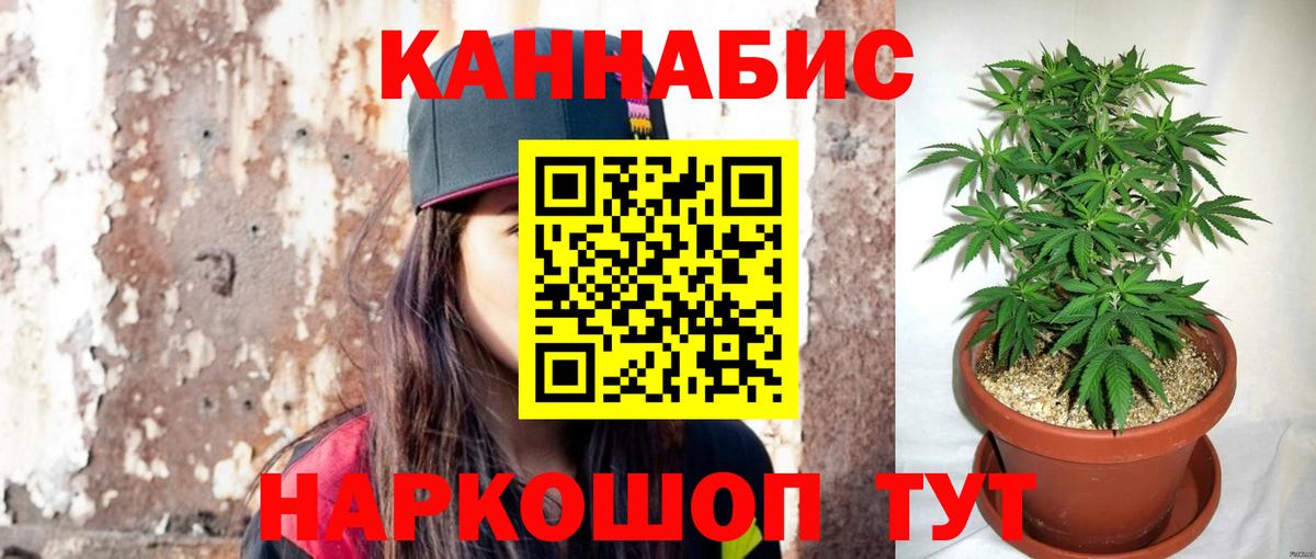 МАРИХУАНА сатива  Шишки марихуана SATIVA & INDICA  Прохладный  Вход с VPN 